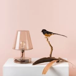 Fatboy Transloetje Table Lamp, Transparent -Het tijdperk van Lamp. fatboy transloetje table lamp 8 1
